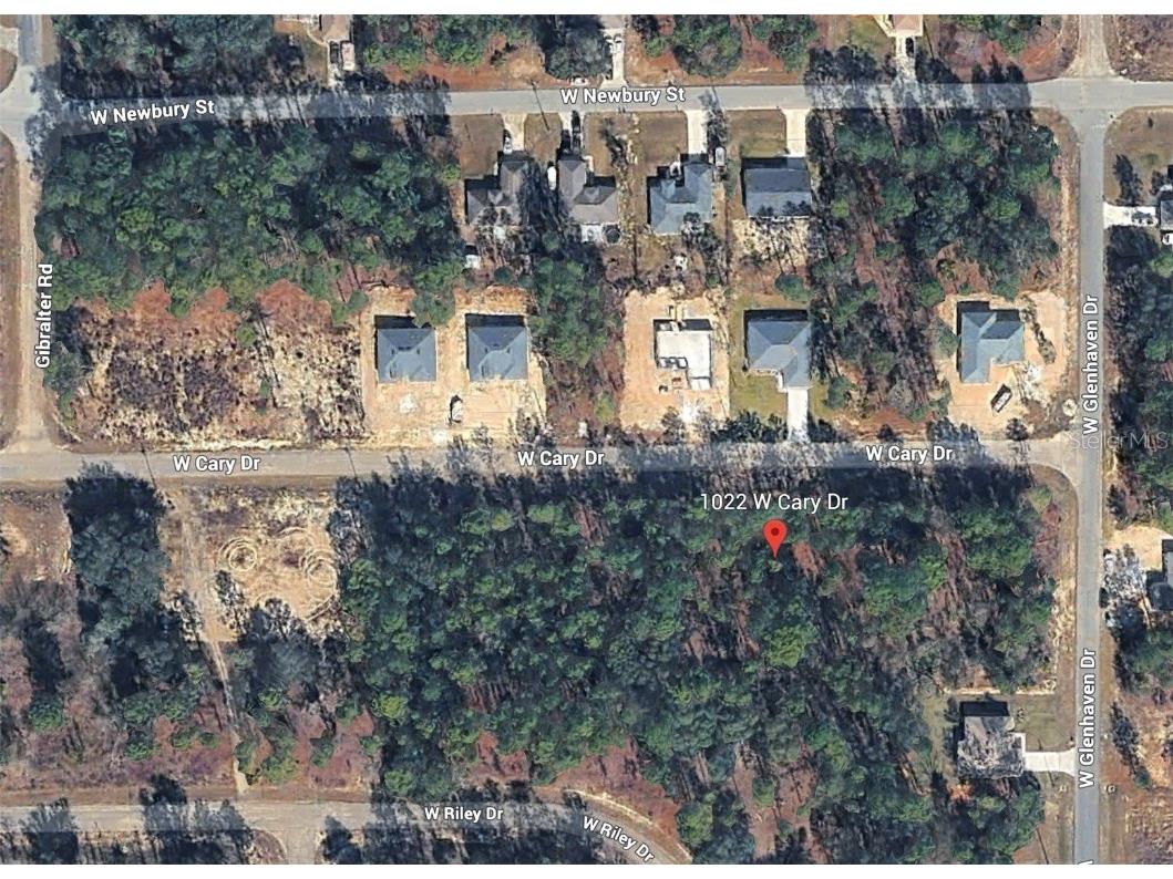 1022 W Cary Drive Citrus Springs FL 34434 O6372328 image1