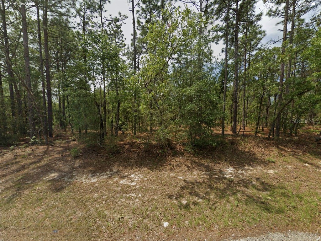 1022 W Cary Drive Citrus Springs FL 34434 O6372328 image2