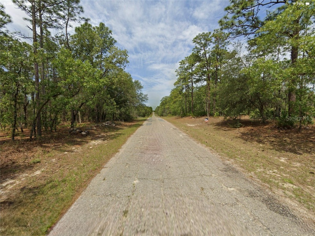 1022 W Cary Drive Citrus Springs FL 34434 O6372328 image3