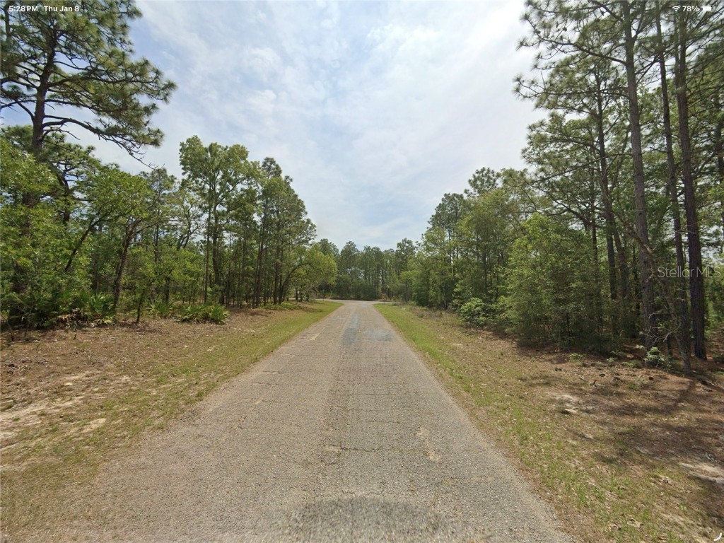 1022 W Cary Drive Citrus Springs FL 34434 O6372328 image4