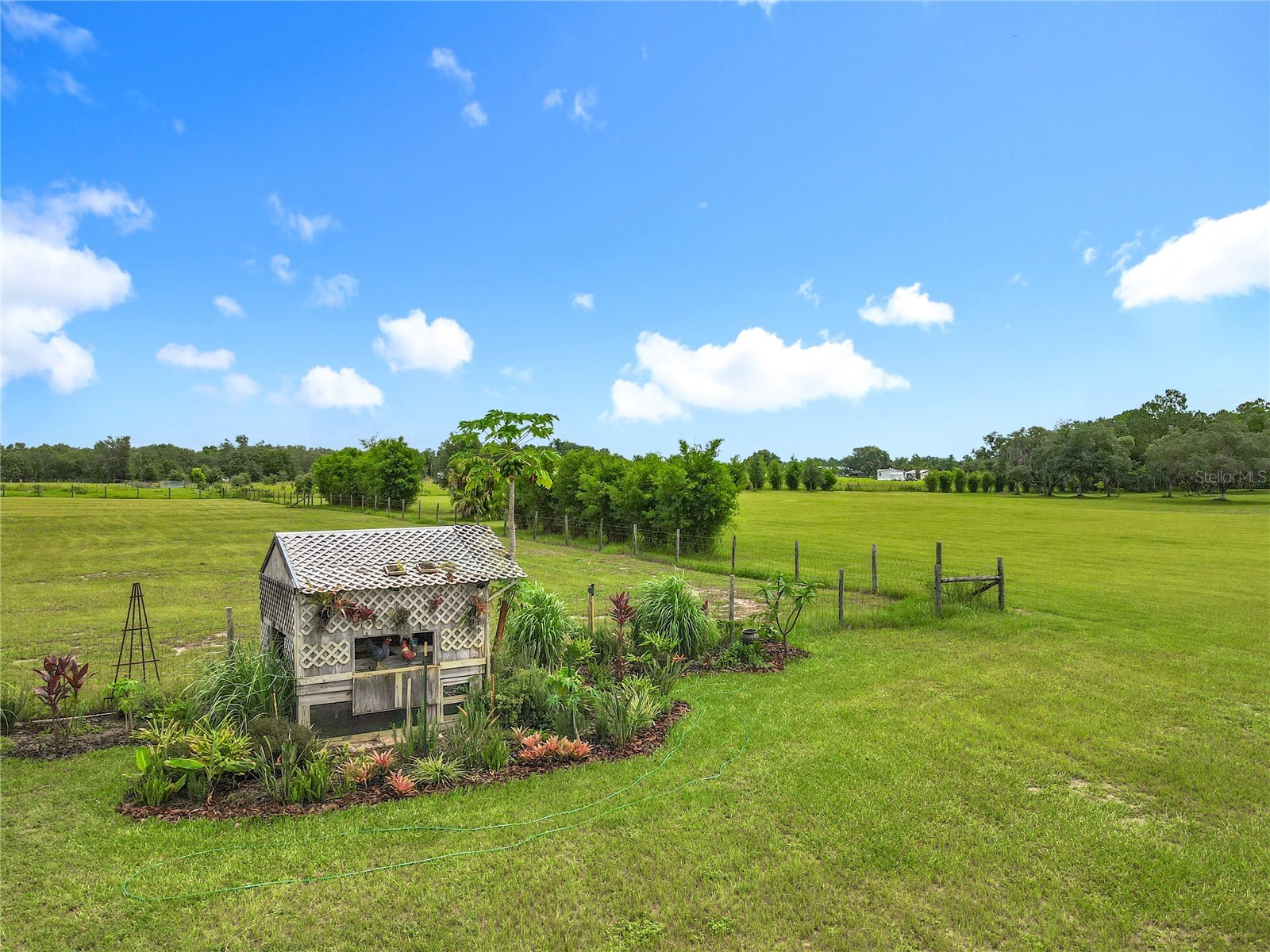 10220 & 10224 Bay Lake Road Groveland FL 34736 O6401254 image64