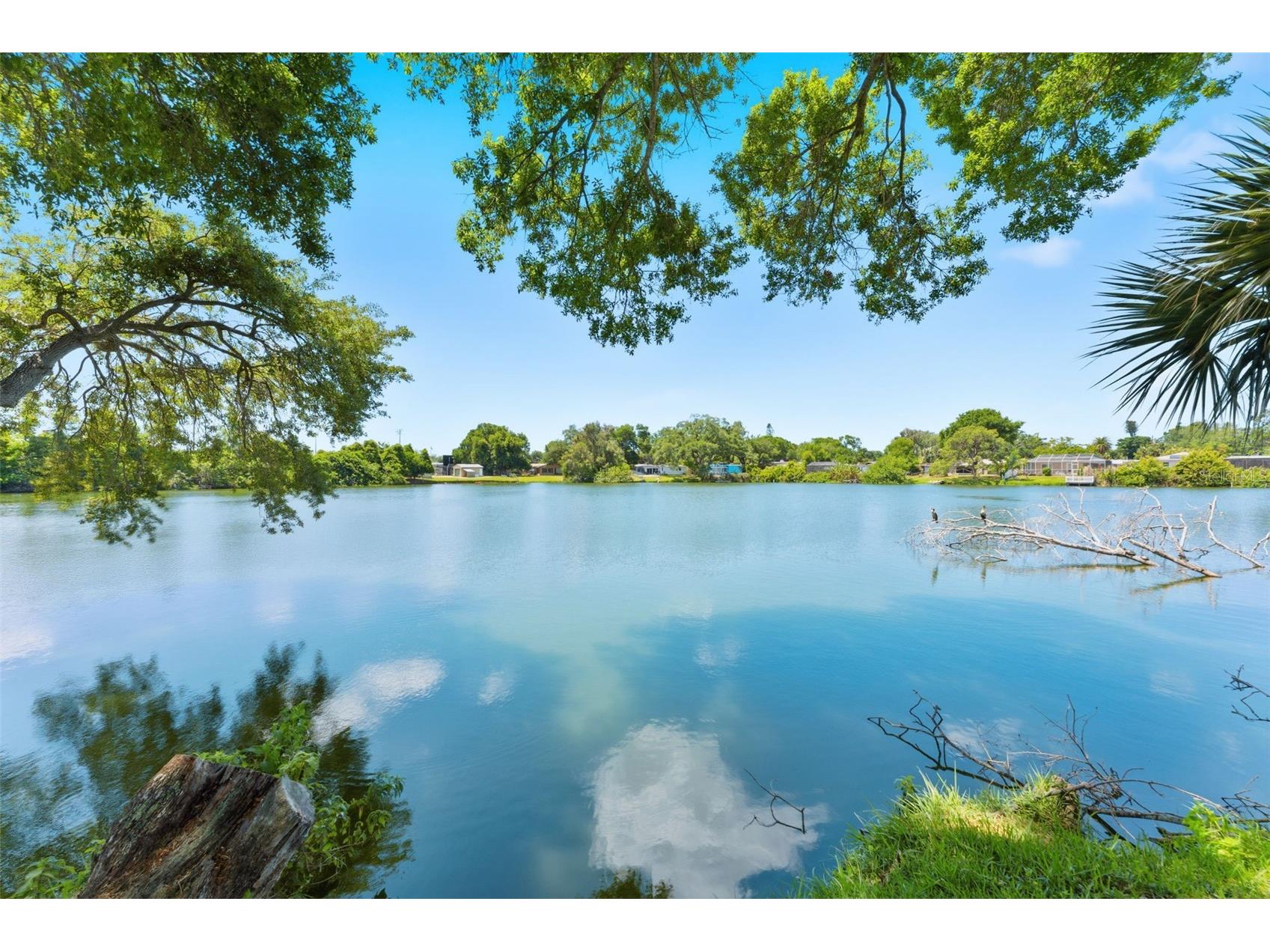 10220 Blossom Trail Seminole FL 33772 - LAKE KERSEY TB8505953 image56