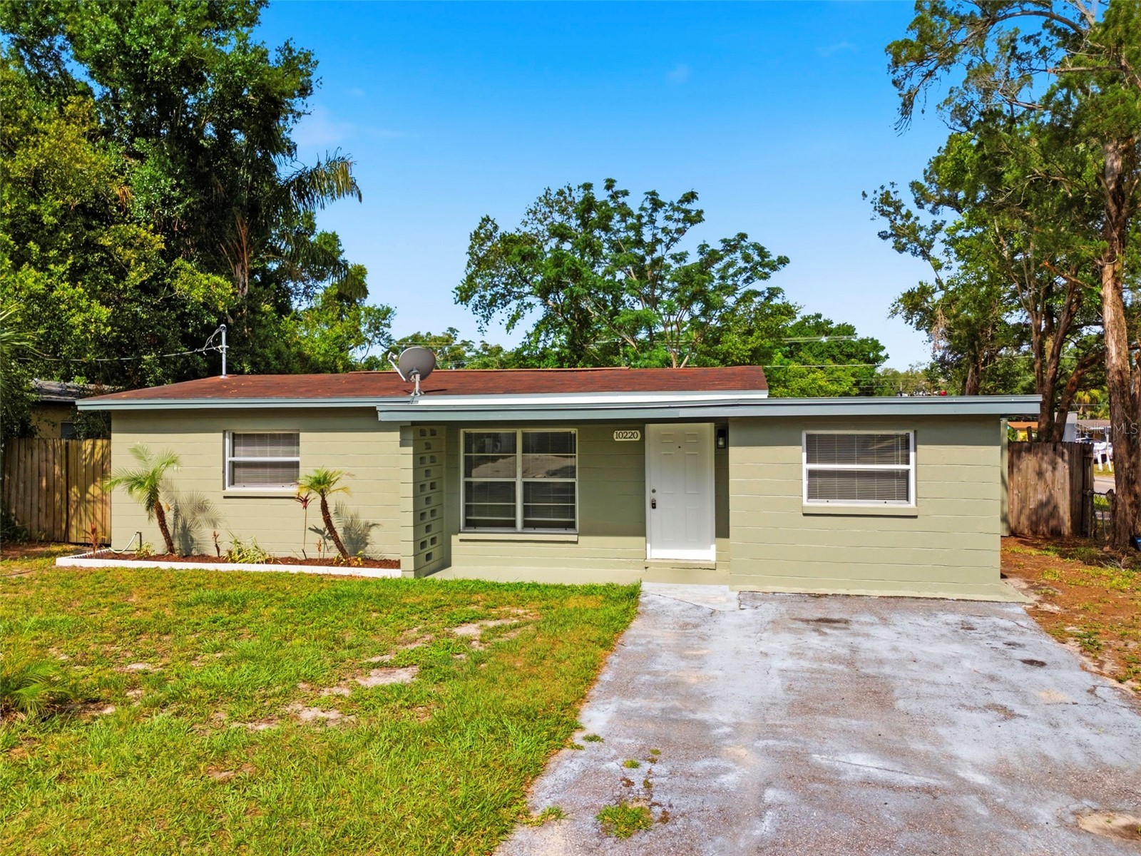 10220 N 23rd Street Tampa FL 33612 TB8506721 image3