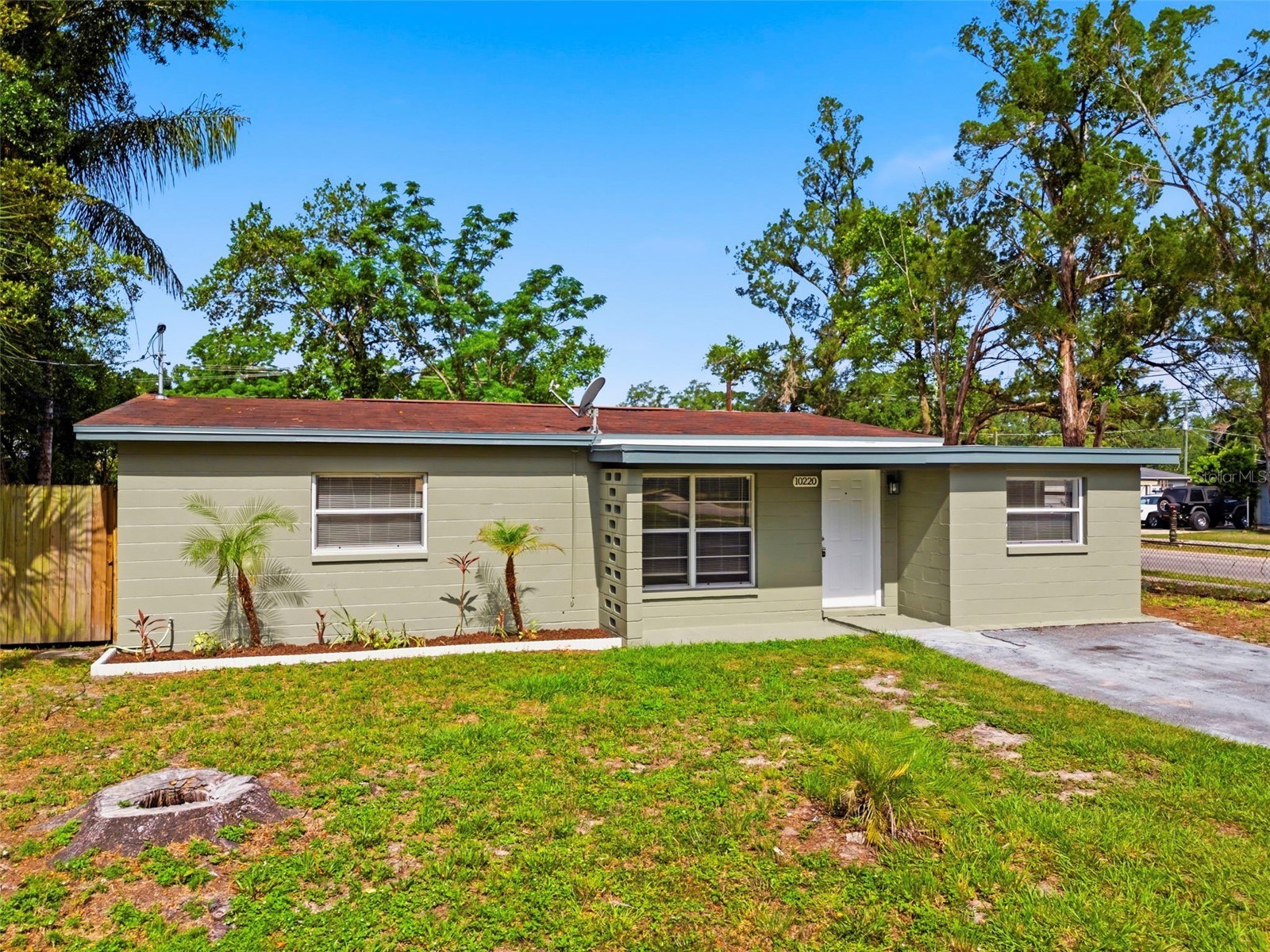 10220 N 23rd Street Tampa FL 33612 TB8506721 image7