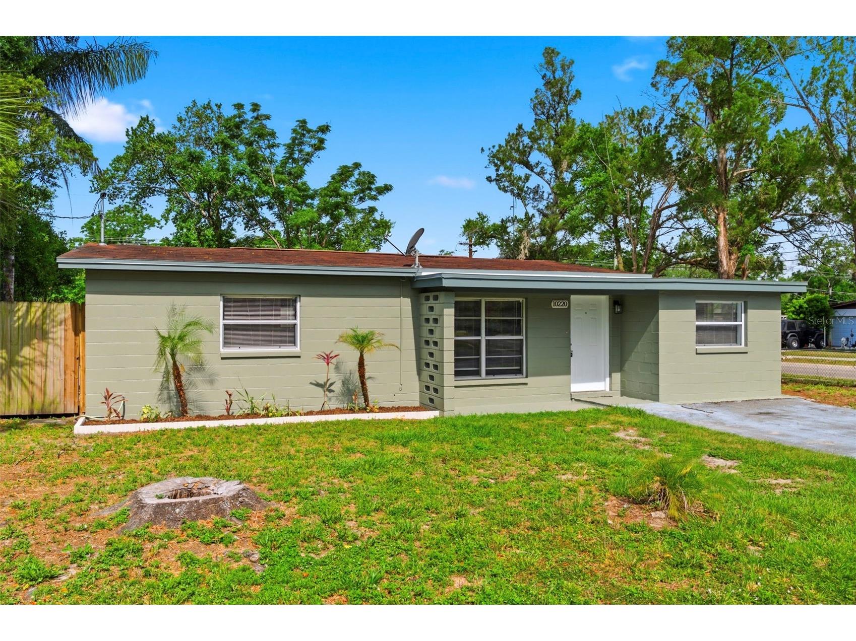 10220 N 23rd Street Tampa FL 33612 TB8506721 image9