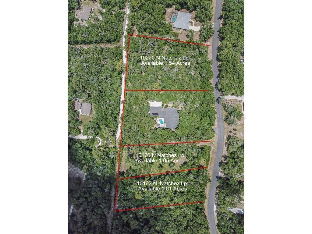 10220 N Natchez Loop Dunnellon FL 34434 - WITHLACOOCHEE RIVER OM646417 image1