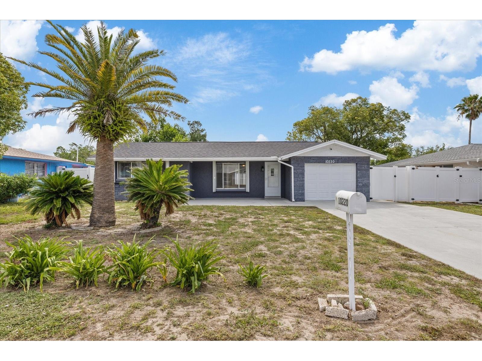 10220 Oak Hill Drive Port Richey FL 34668 TB8515975 image7