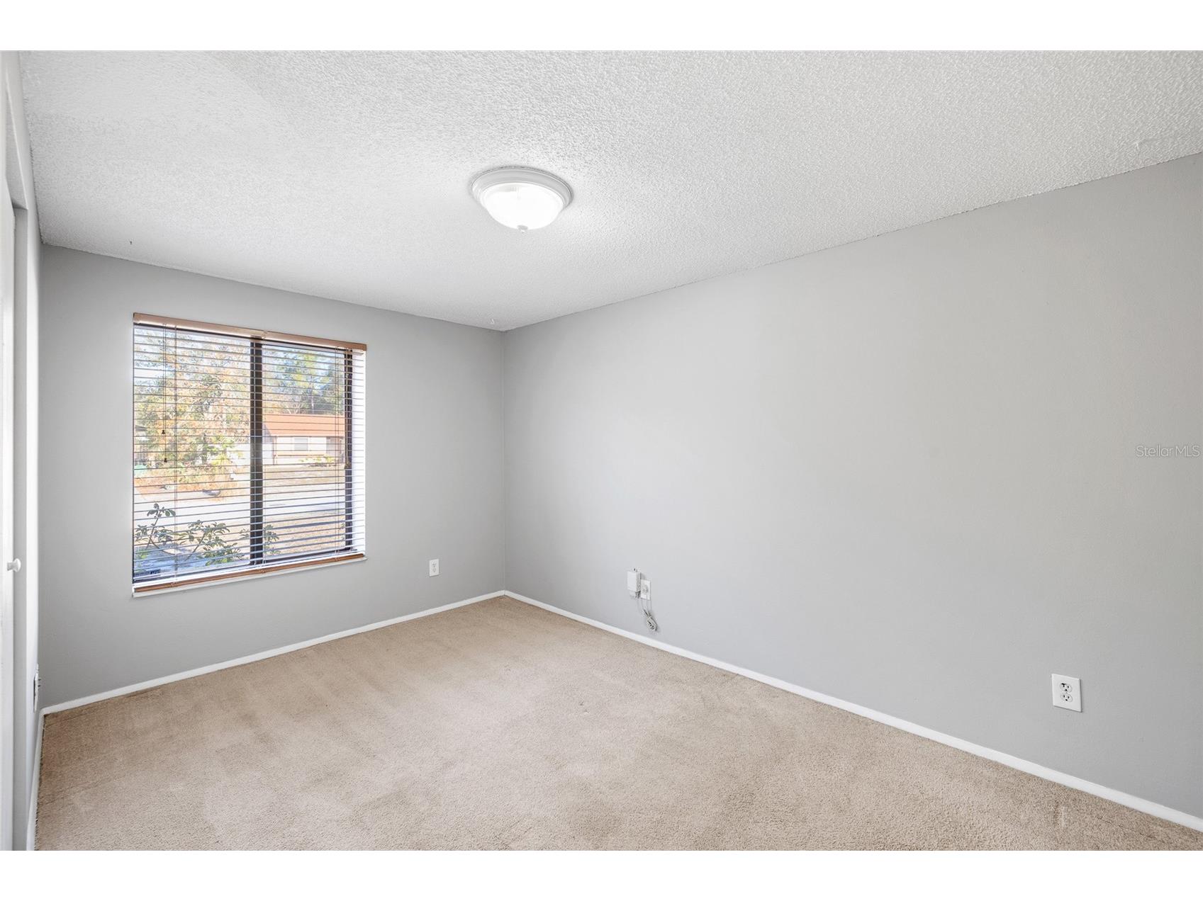 10220 Turkey Oak Drive New Port Richey FL 34654 W7883496 image18
