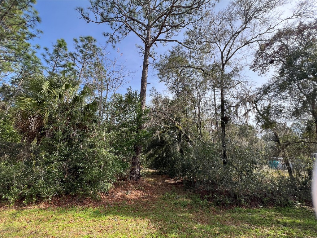 10220 W Ohio Drive Crystal River FL 34428 T3498604 image1