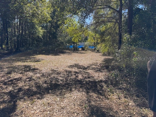 10220 W Ohio Drive Crystal River FL 34428 L4950445 image10