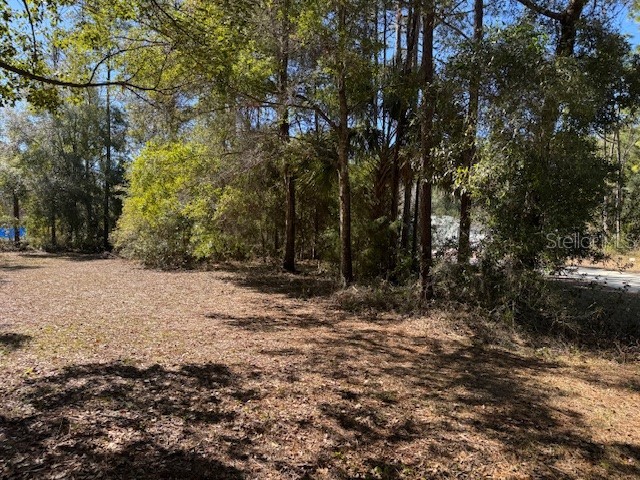 10220 W Ohio Drive Crystal River FL 34428 L4950445 image11