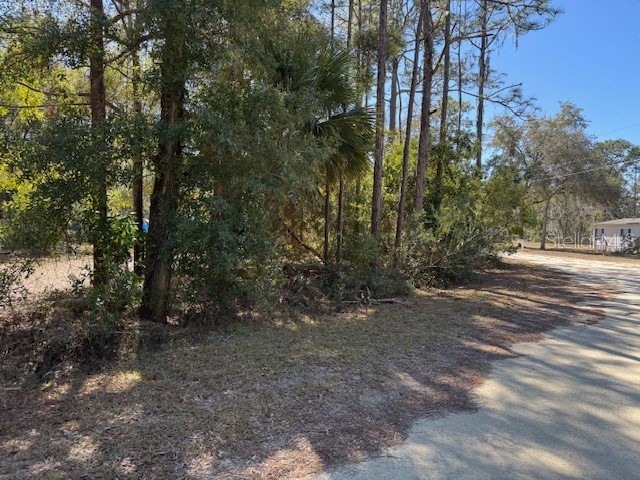 10220 W Ohio Drive Crystal River FL 34428 L4950445 image2
