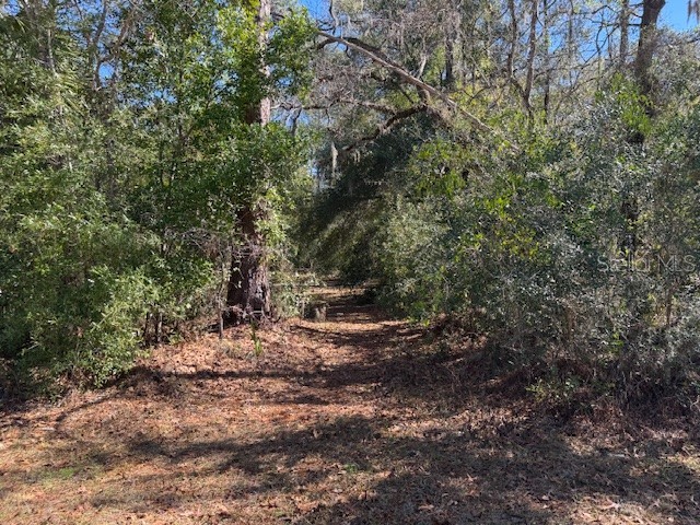 10220 W Ohio Drive Crystal River FL 34428 L4950445 image3