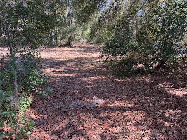 10220 W Ohio Drive Crystal River FL 34428 L4950445 image5