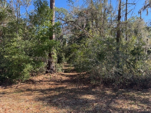 10220 W Ohio Drive Crystal River FL 34428 L4950445 image7