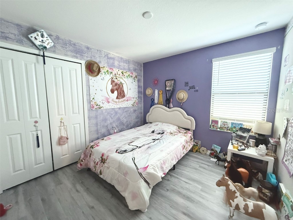 10221 Carloway Hills Drive Wimauma FL 33598 TB8402125 image9