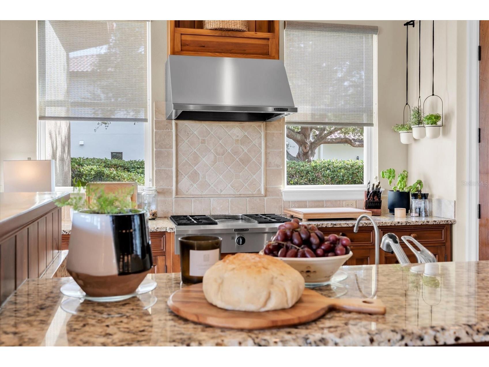 10221 Golden Eagle Drive Largo FL 33778 TB8449445 image25