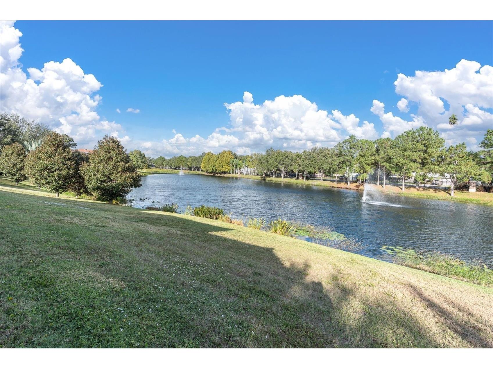 10221 Golden Eagle Drive Largo FL 33778 TB8449445 image64