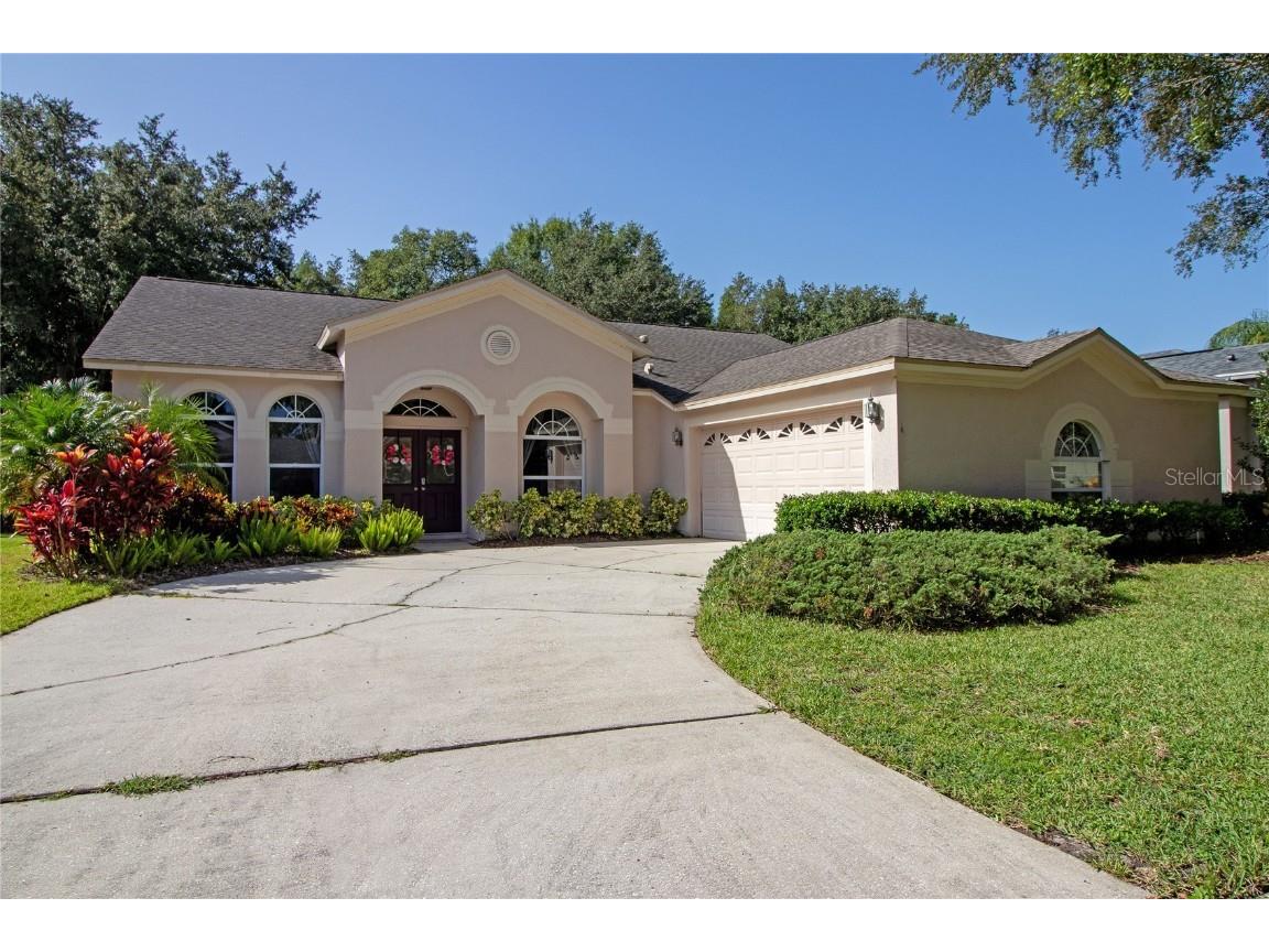10221 Timberland Point Drive Tampa FL 33647 U8250656 image1