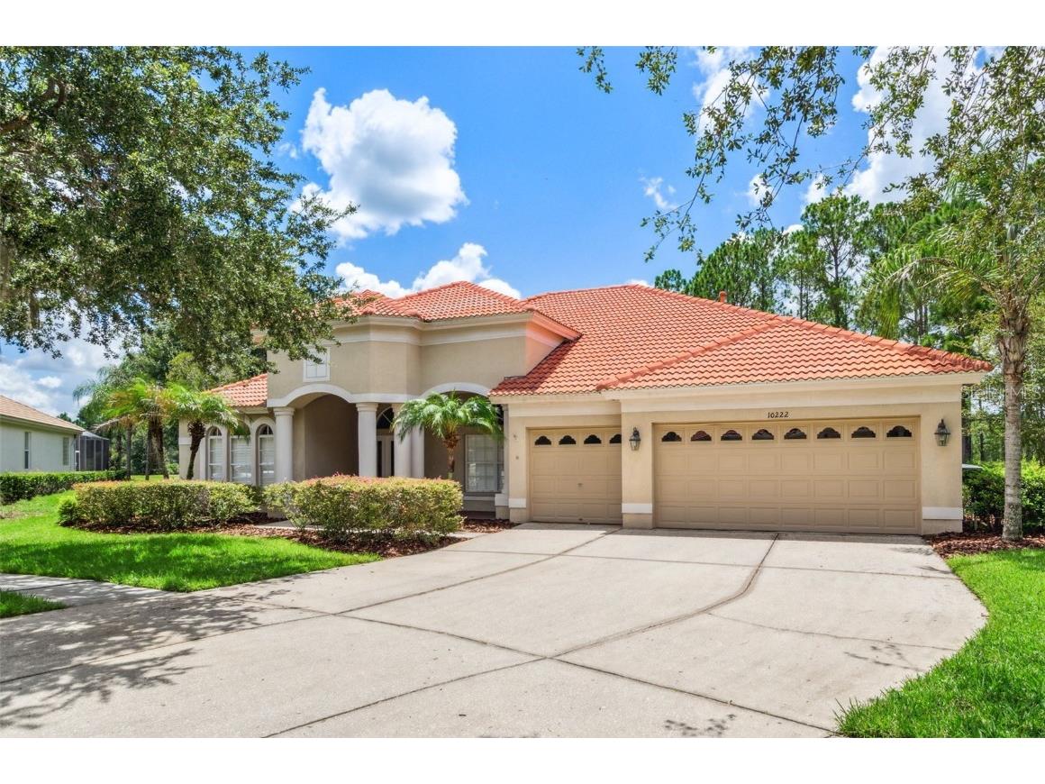 10222 Arbor Side Drive Tampa FL 33647 T3468399 image1