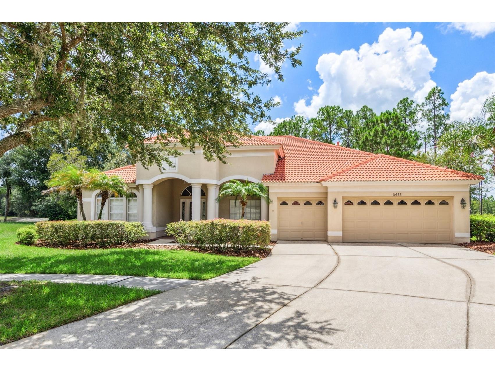 10222 Arbor Side Drive Tampa FL 33647 TB8485287 image2