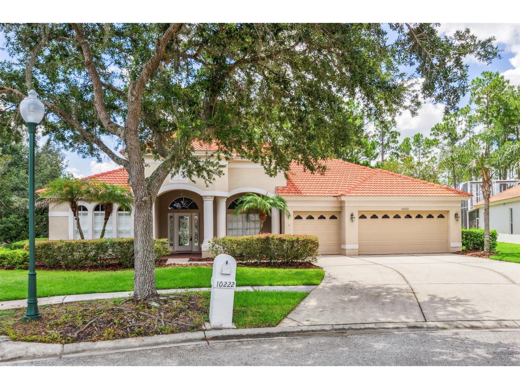 10222 Arbor Side Drive Tampa FL 33647 TB8485287 image3