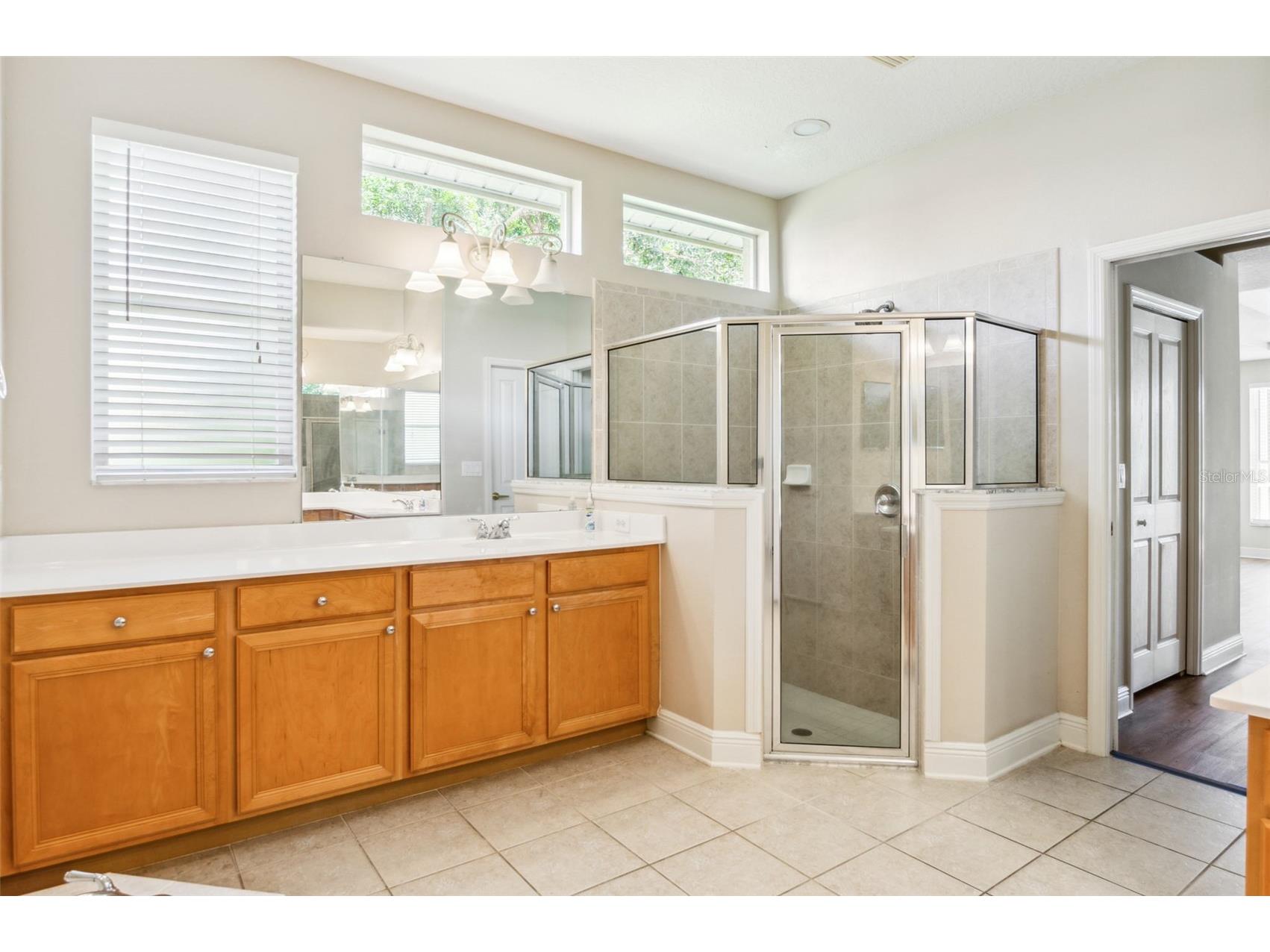 10222 Arbor Side Drive Tampa FL 33647 TB8485287 image36