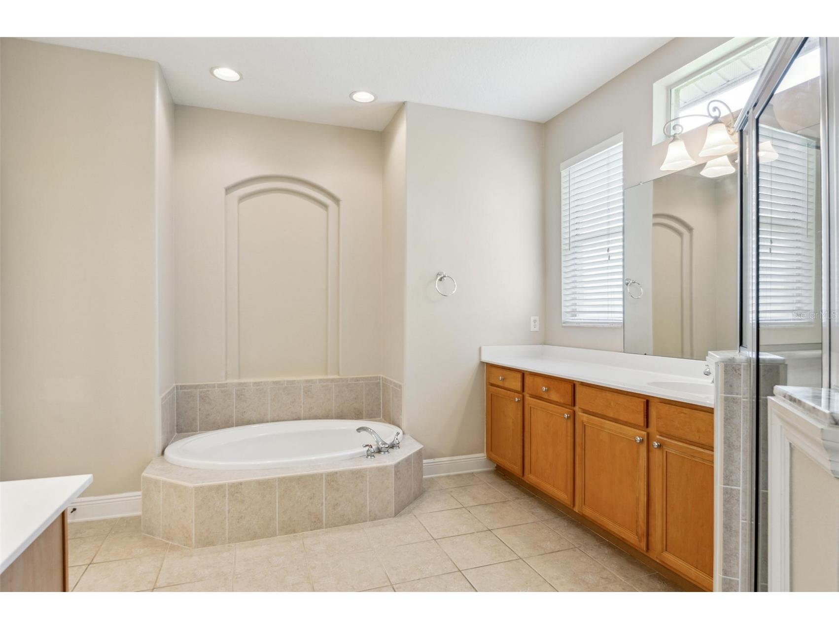 10222 Arbor Side Drive Tampa FL 33647 TB8485287 image37