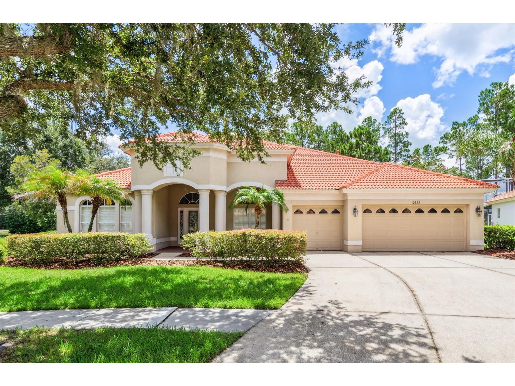 10222 Arbor Side Drive Tampa FL 33647 TB8485287 image4