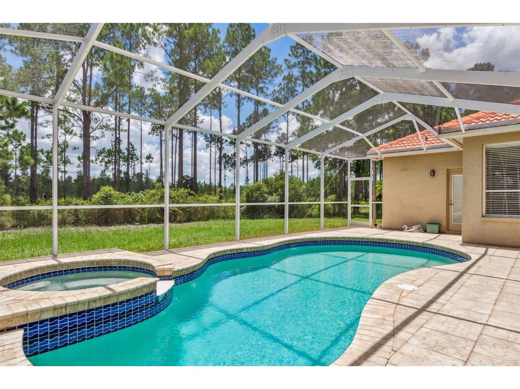 10222 Arbor Side Drive Tampa FL 33647 TB8485287 image42