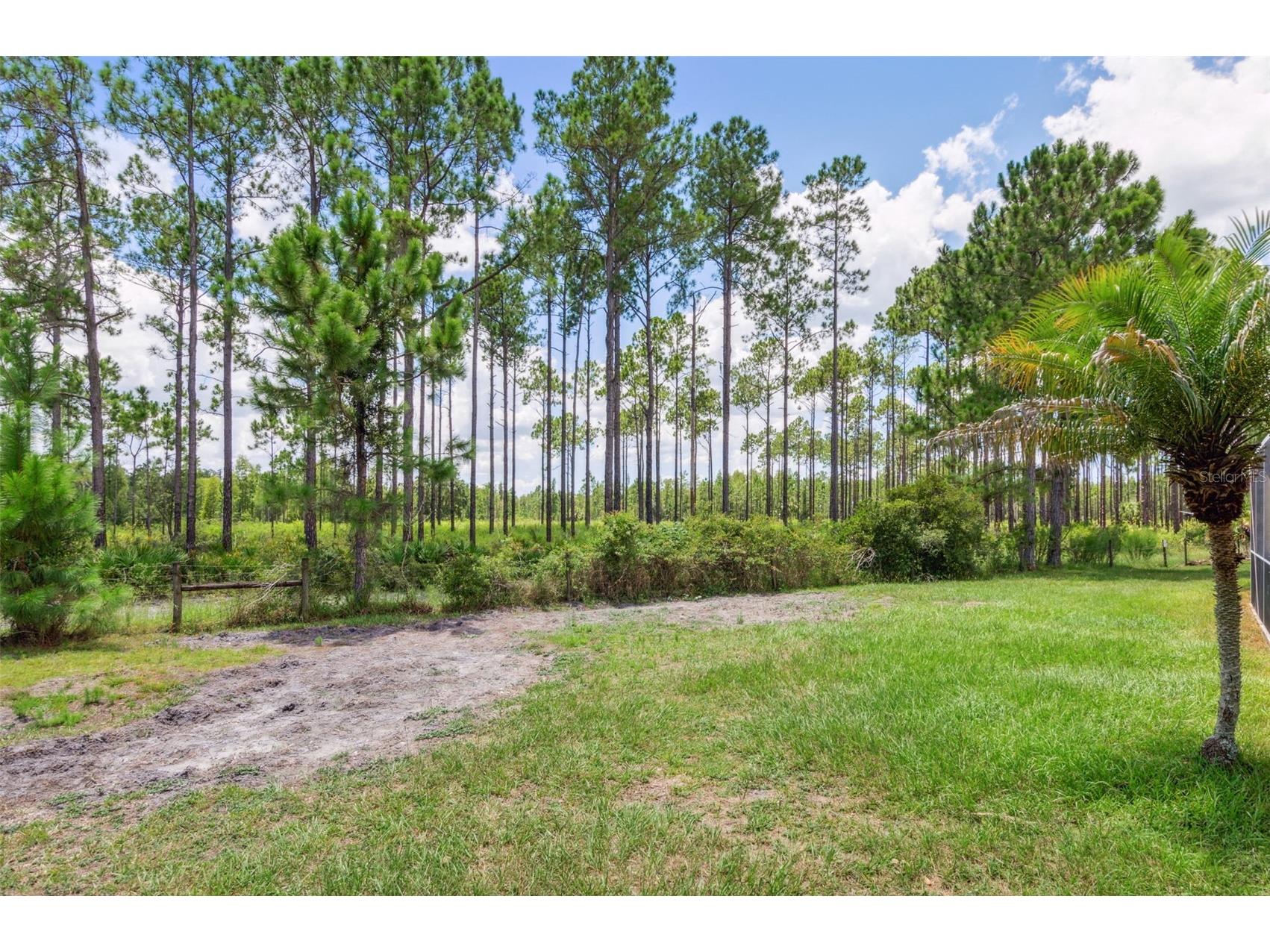 10222 Arbor Side Drive Tampa FL 33647 TB8485287 image46