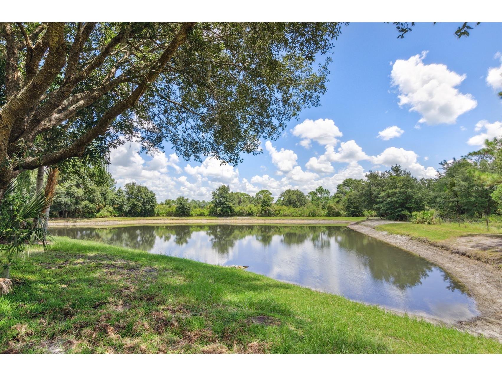 10222 Arbor Side Drive Tampa FL 33647 TB8485287 image48