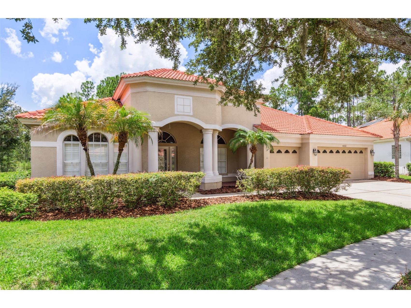 10222 Arbor Side Drive Tampa FL 33647 TB8485287 image5