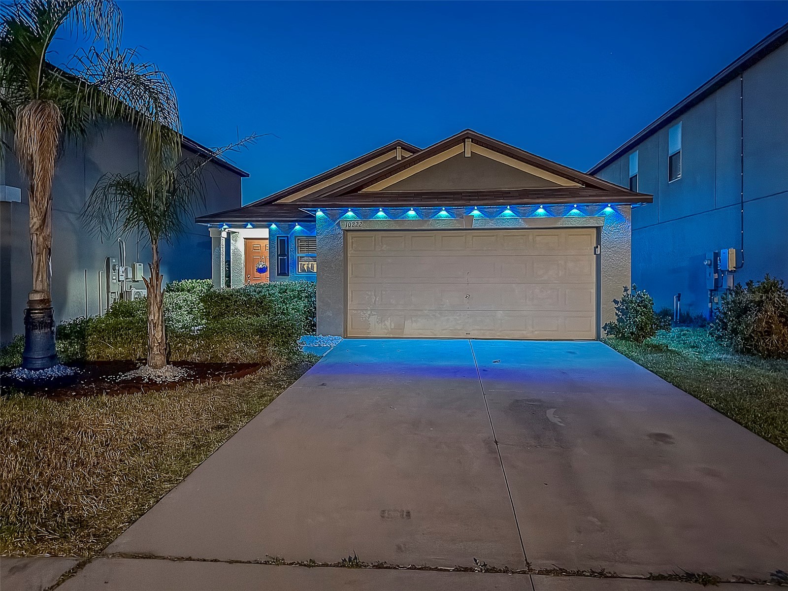 10222 Cool Waterlily Avenue Riverview FL 33578 TB8467324 image1