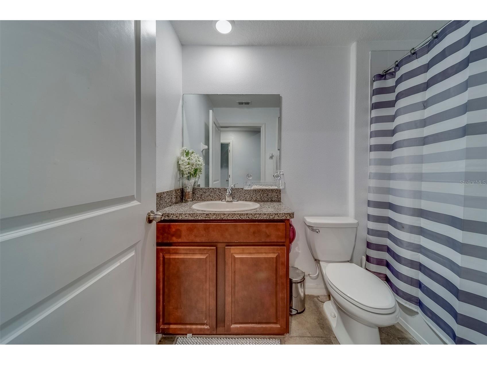 10222 Cool Waterlily Avenue Riverview FL 33578 TB8467324 image24