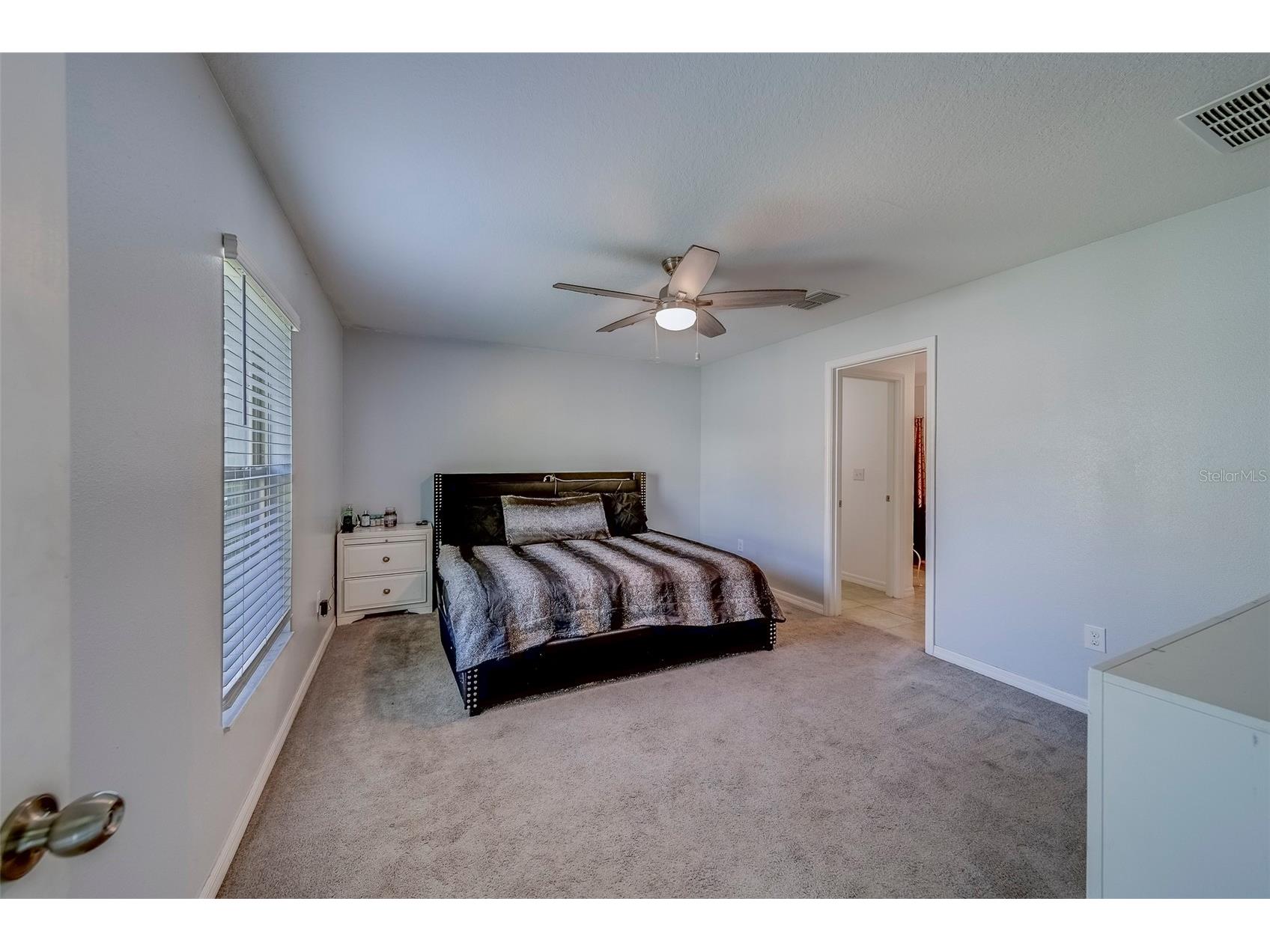 10222 Cool Waterlily Avenue Riverview FL 33578 TB8467324 image29