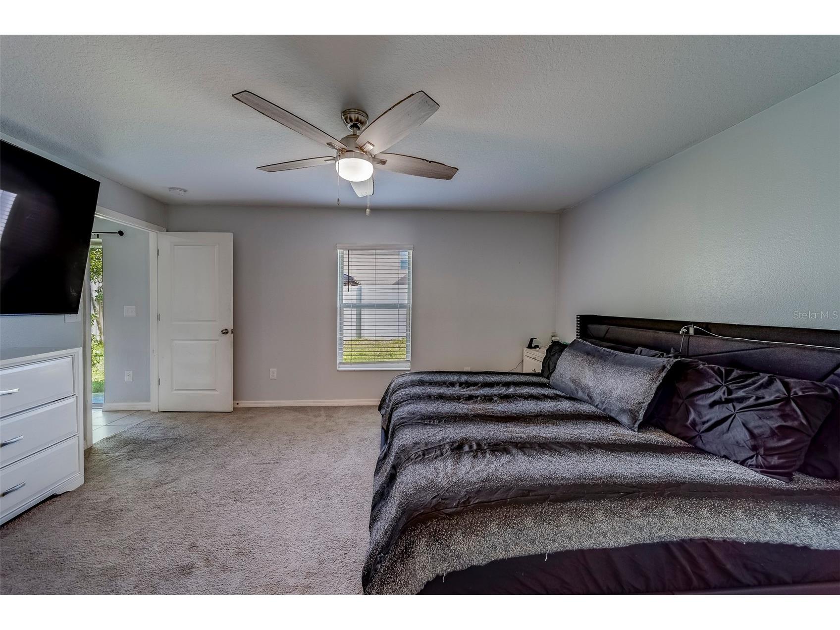 10222 Cool Waterlily Avenue Riverview FL 33578 TB8467324 image31