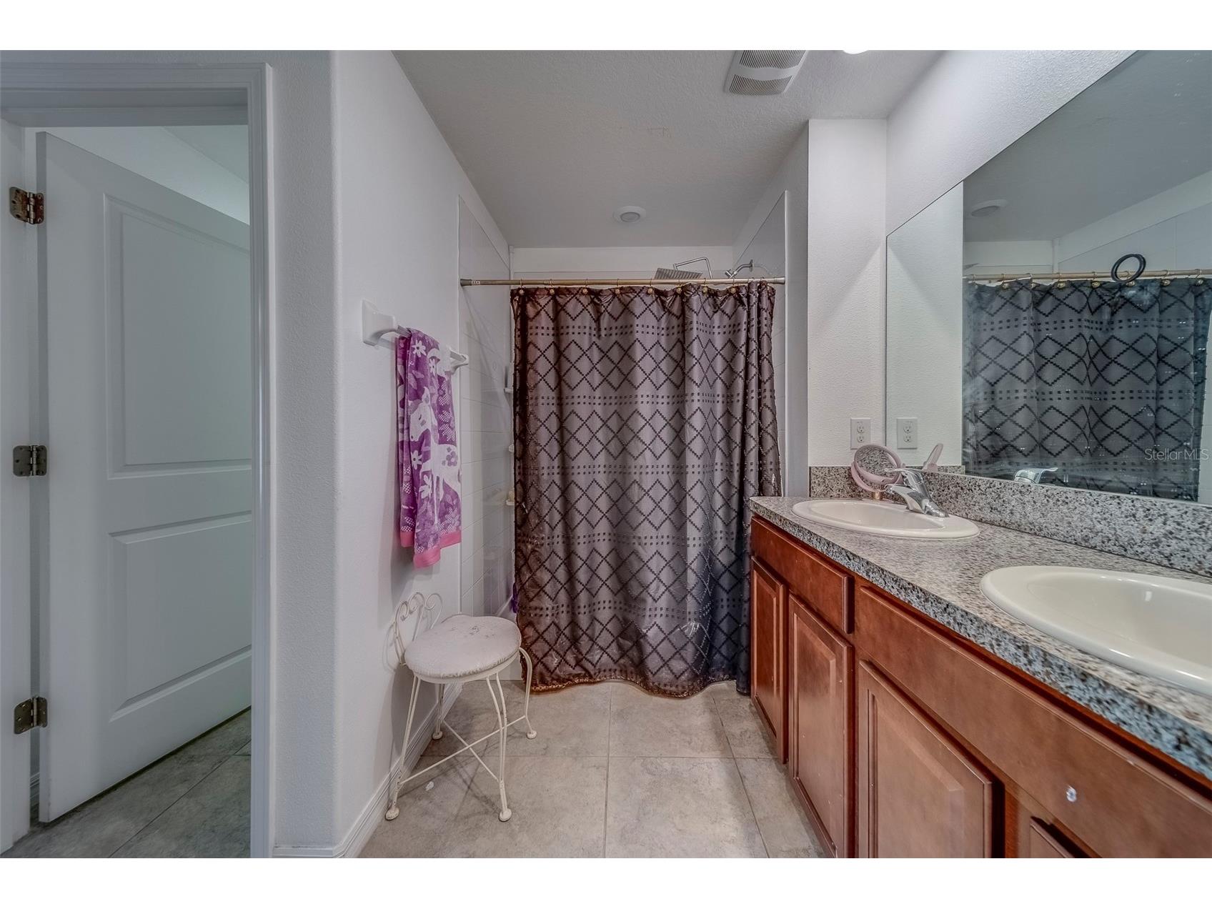 10222 Cool Waterlily Avenue Riverview FL 33578 TB8467324 image33