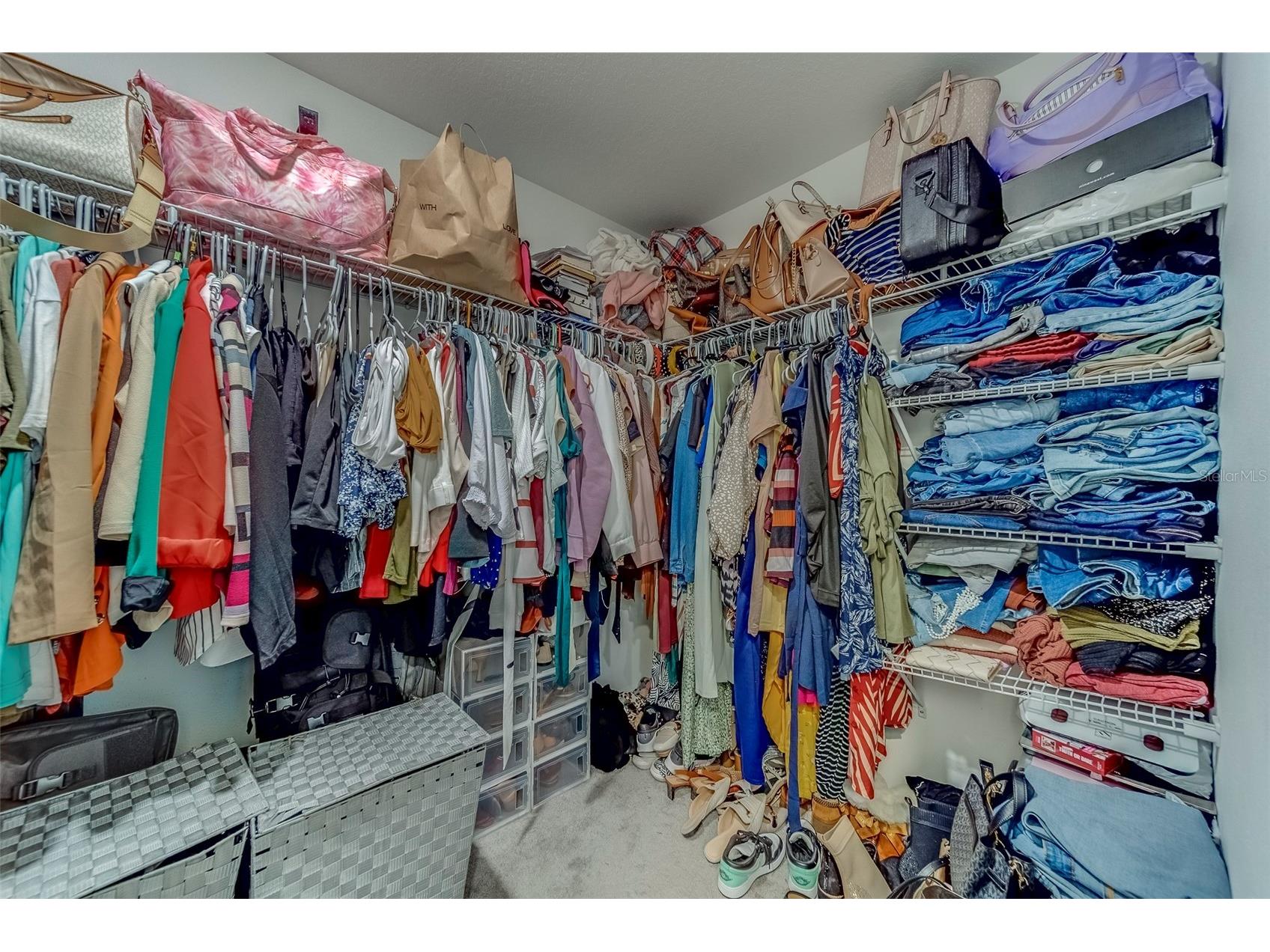 10222 Cool Waterlily Avenue Riverview FL 33578 TB8467324 image34