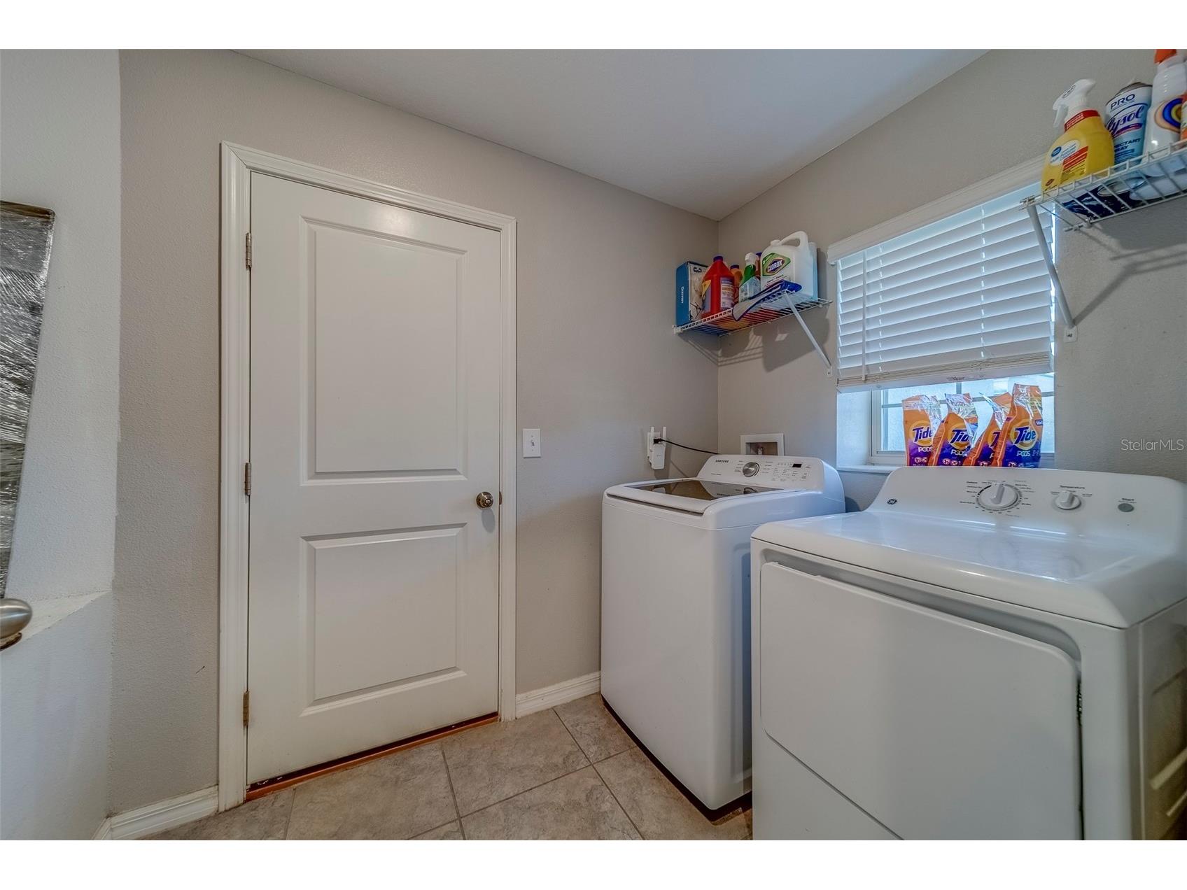 10222 Cool Waterlily Avenue Riverview FL 33578 TB8467324 image35