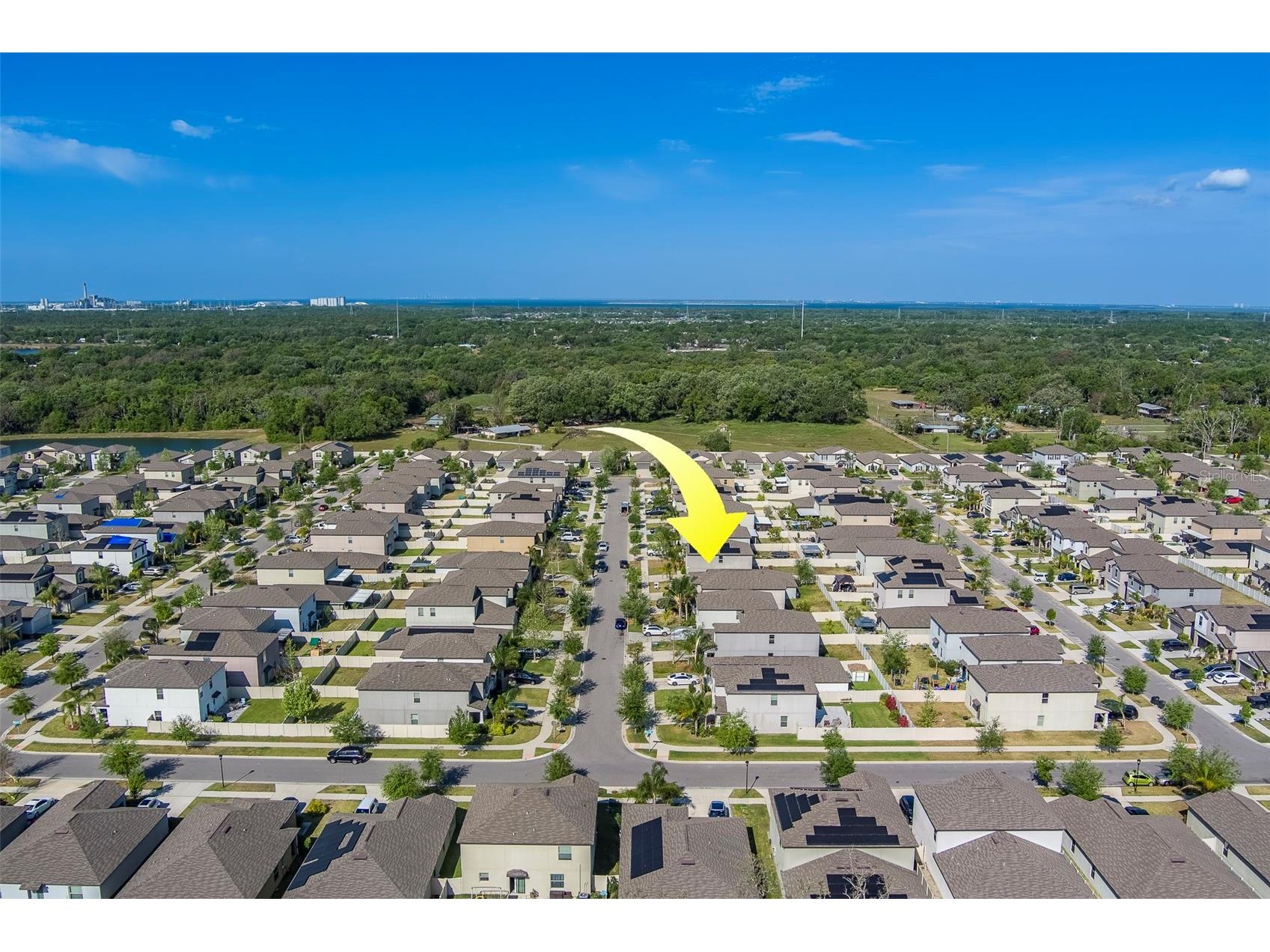 10222 Cool Waterlily Avenue Riverview FL 33578 TB8467324 image49