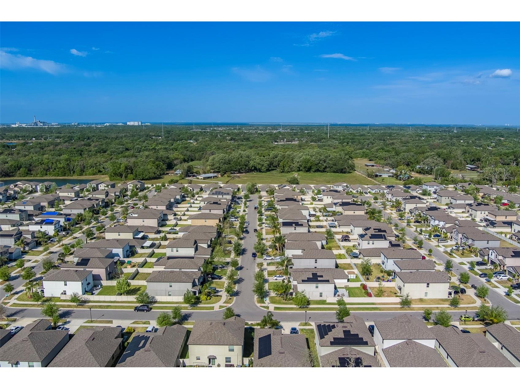 10222 Cool Waterlily Avenue Riverview FL 33578 TB8467324 image50