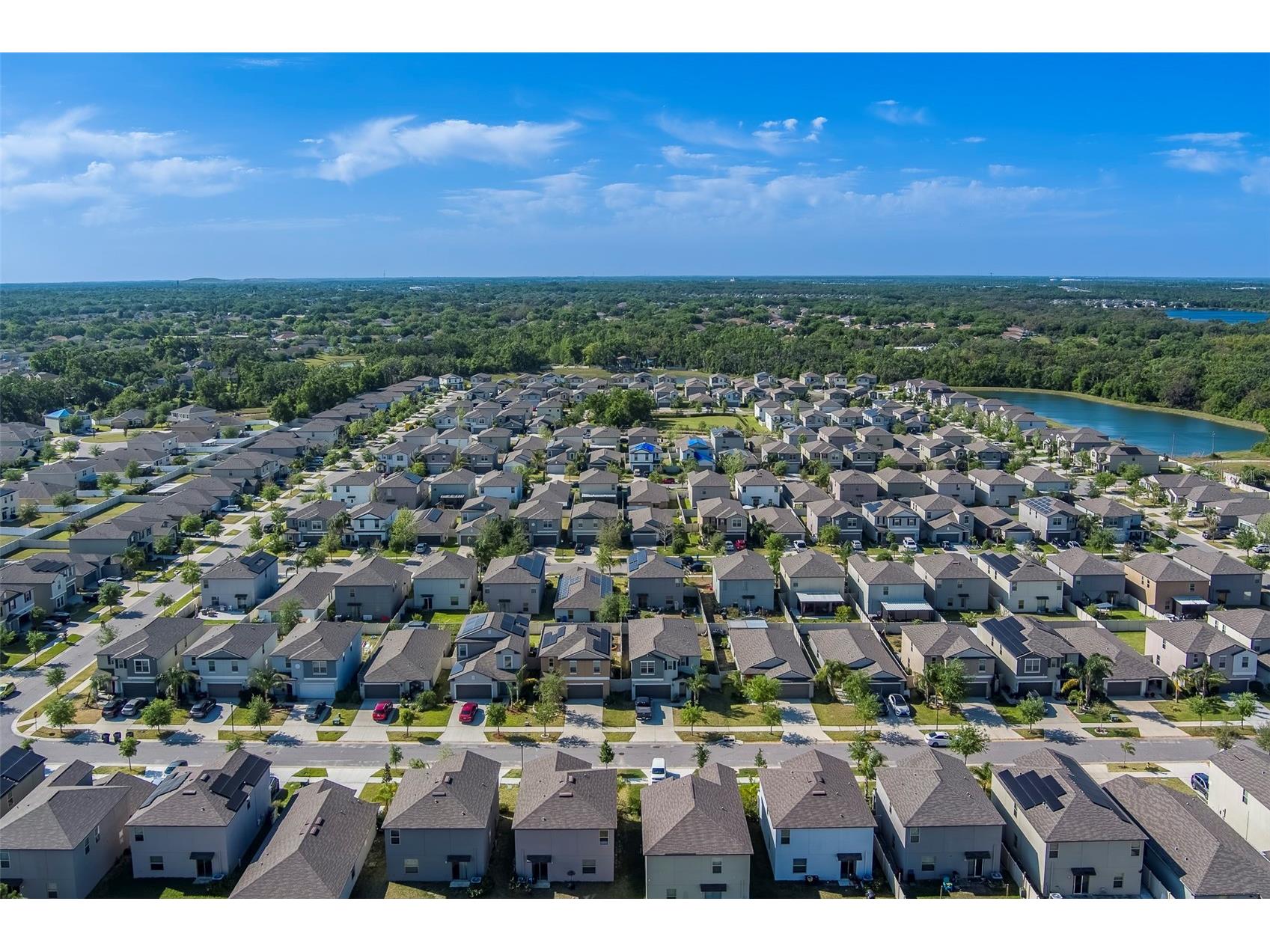 10222 Cool Waterlily Avenue Riverview FL 33578 TB8467324 image52