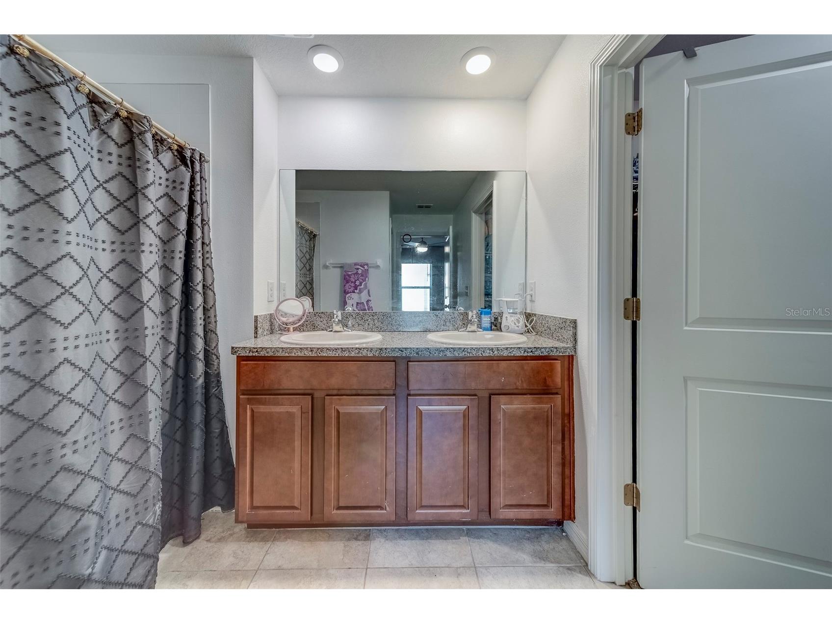 10222 Cool Waterlily Avenue Riverview FL 33578 TB8467324 image6