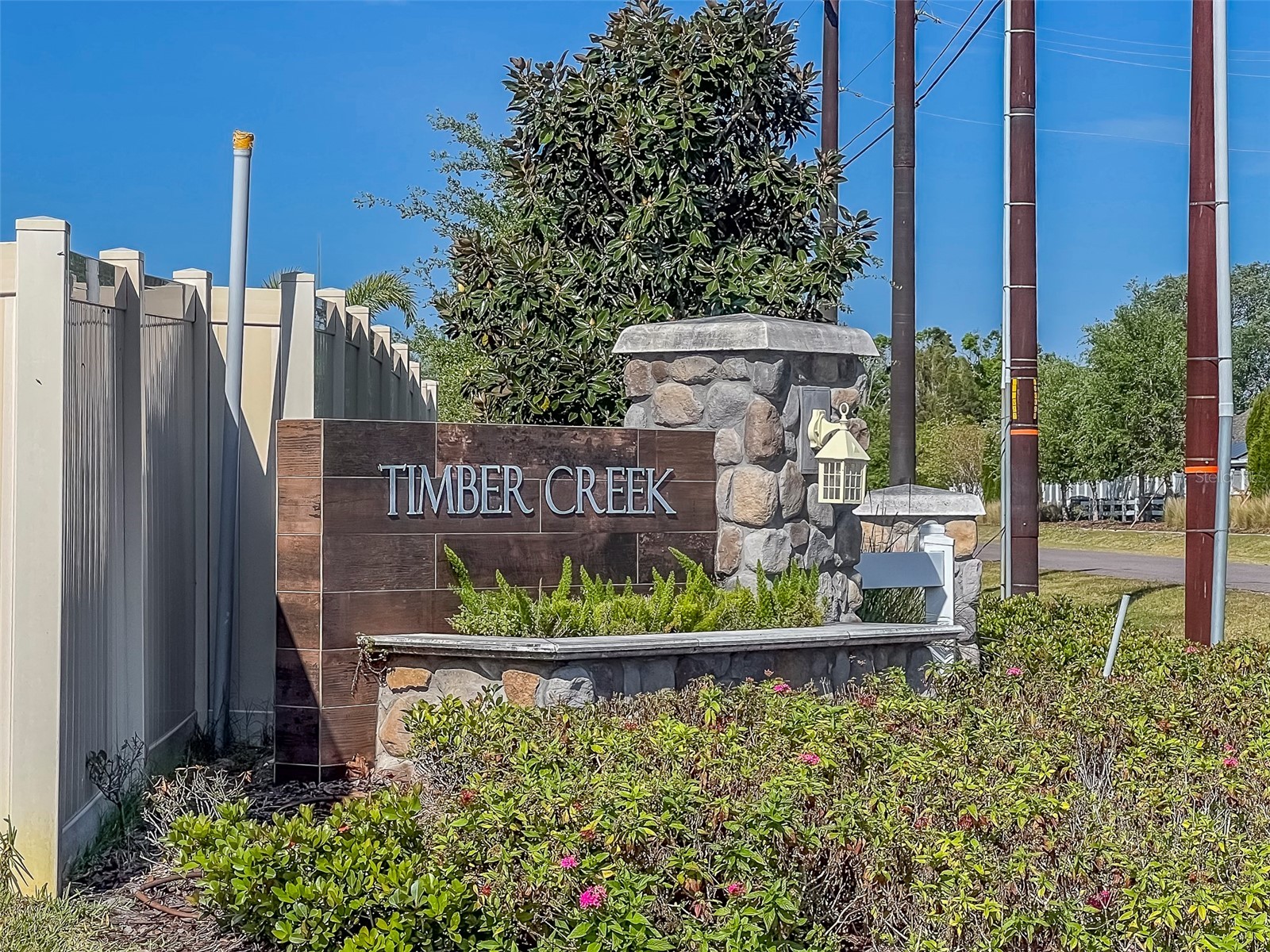 10222 Cool Waterlily Avenue Riverview FL 33578 TB8467324 image61