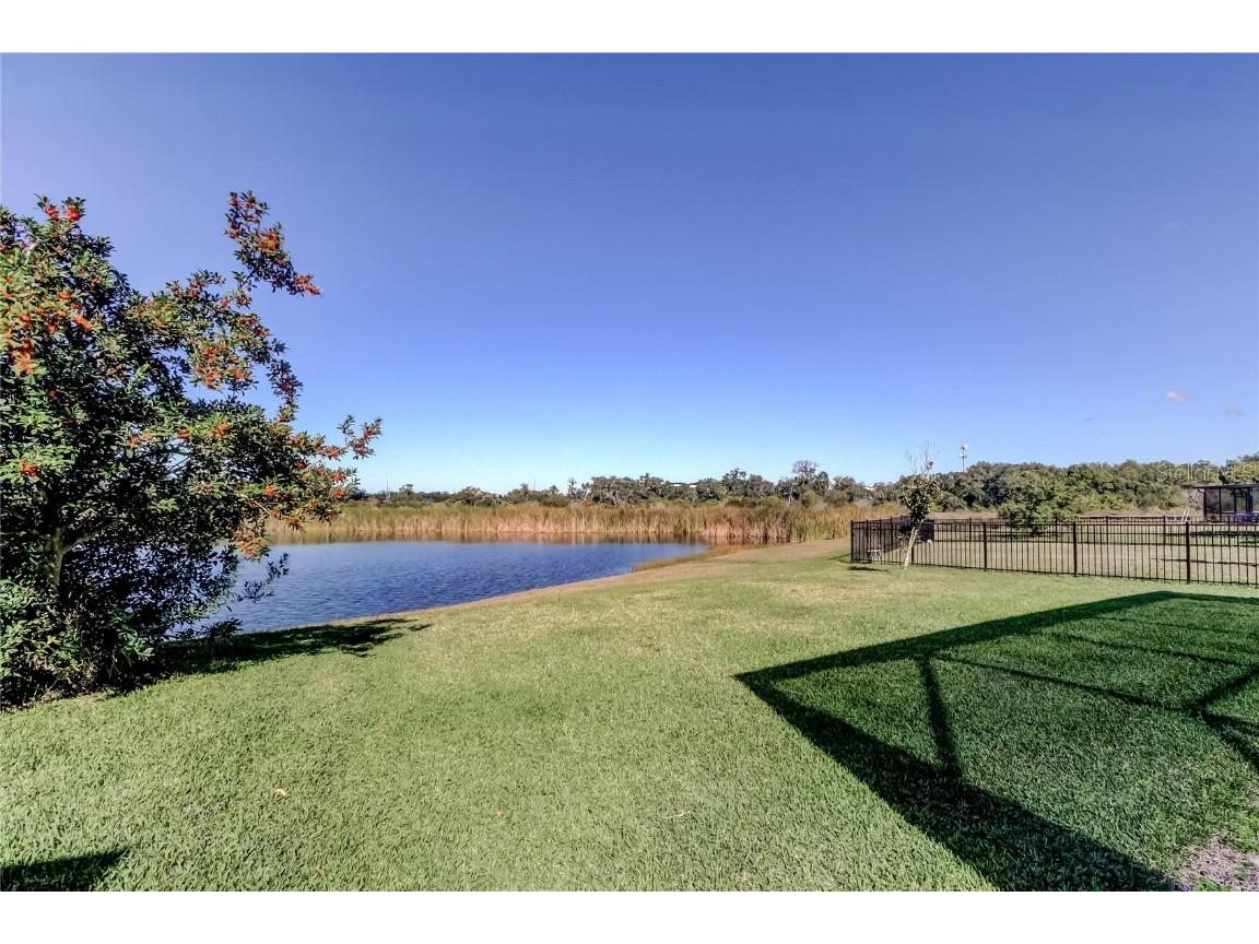 10222 Count Fleet Drive Ruskin FL 33573 TB8457445 image62