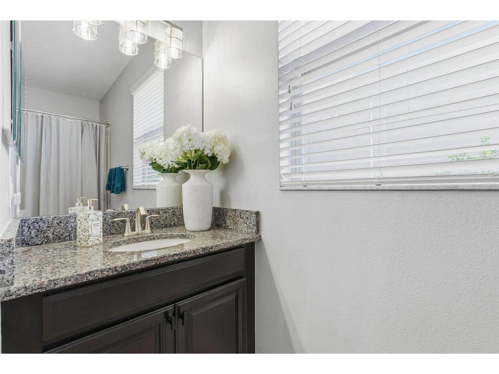 10222 Count Fleet Drive Ruskin FL 33573 TB8475622 image29