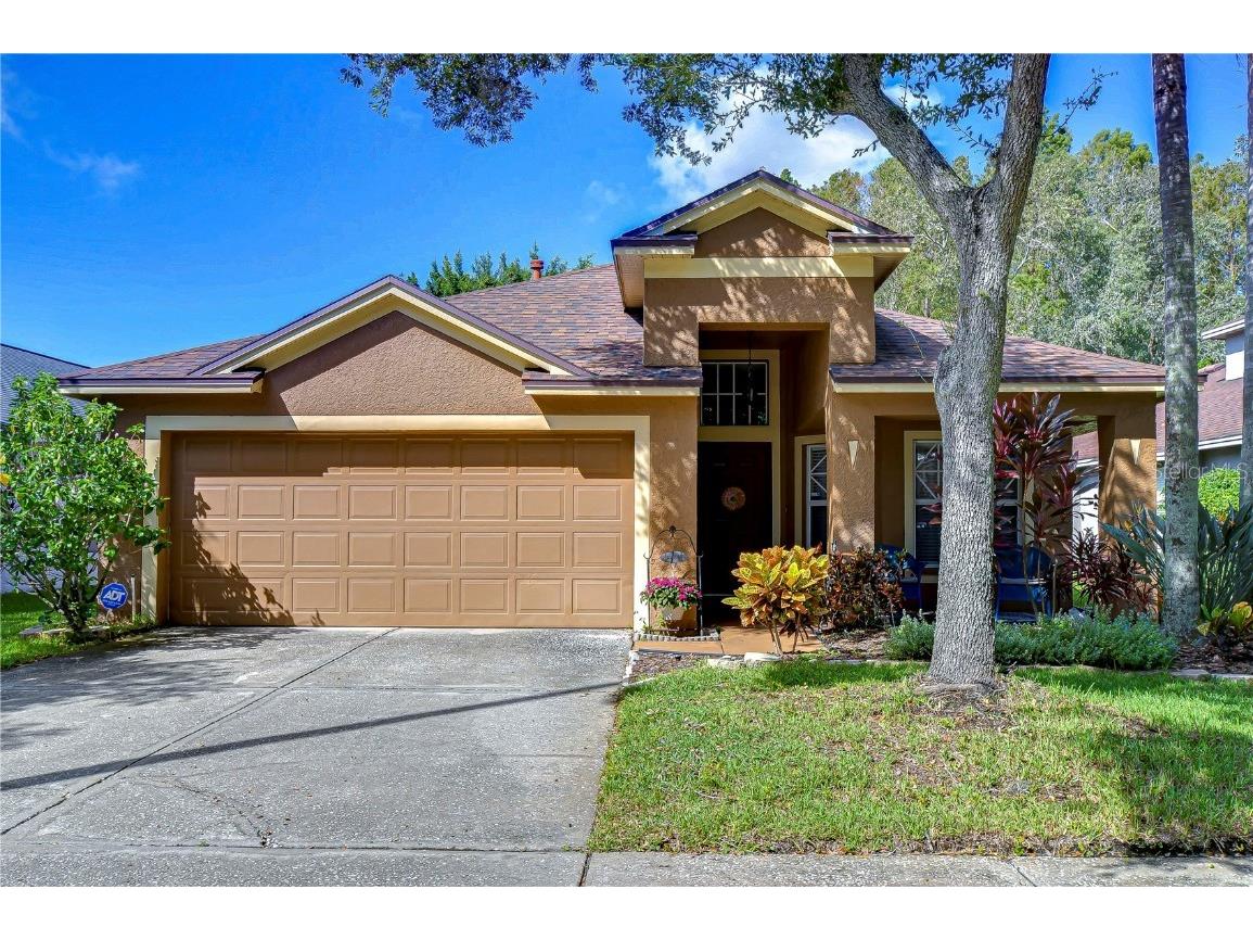 10222 Woodford Bridge Street Tampa FL 33626 TB8356803 image1