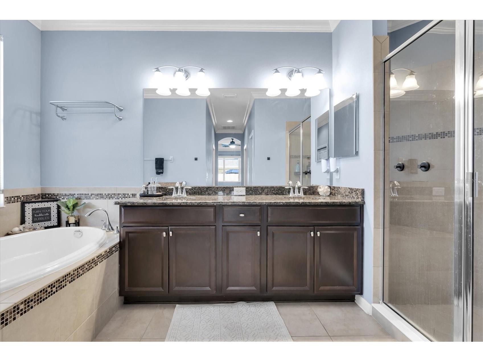 10223 Caraway Spice Avenue Riverview FL 33578 TB8471688 image17