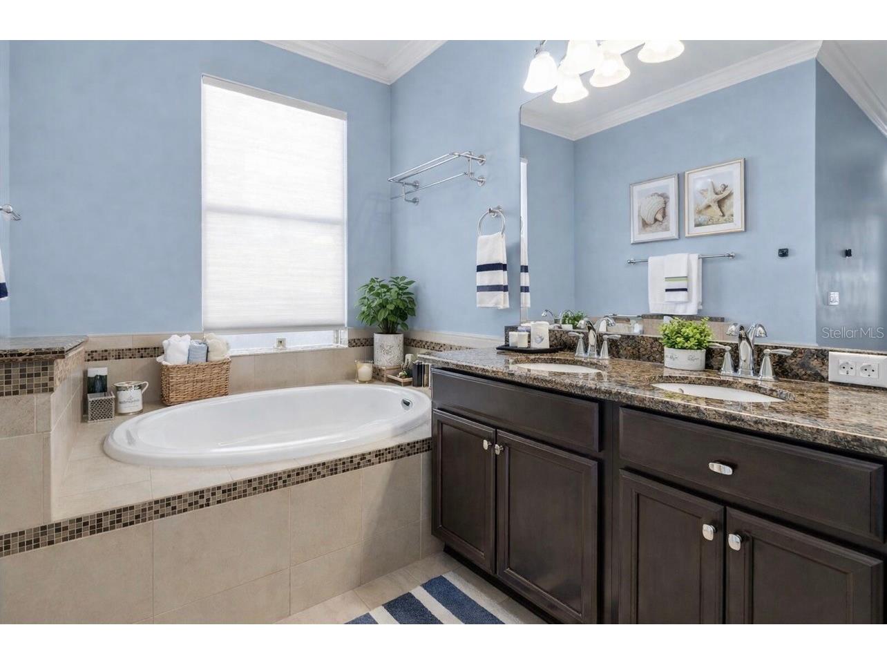 10223 Caraway Spice Avenue Riverview FL 33578 TB8471688 image18